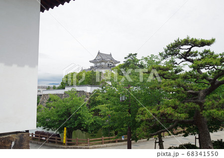 公園から眺めた岸和田城の景色 公園から眺めた岸和田城の景色 68341550
