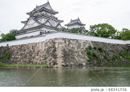 岸和田城の石垣と天守の景色 岸和田城の石垣と天守の景色 68341556