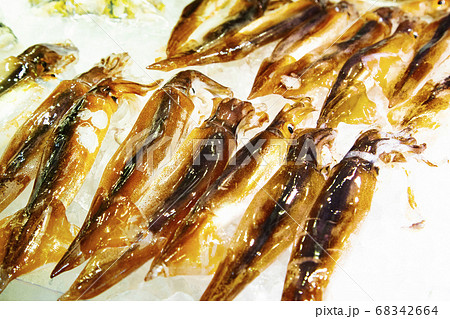 はこだて自由市場　売り場の活イカ 68342664