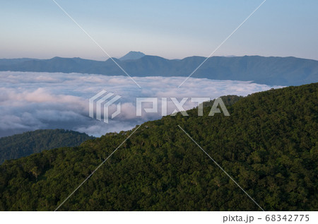 深緑と雲海 68342775