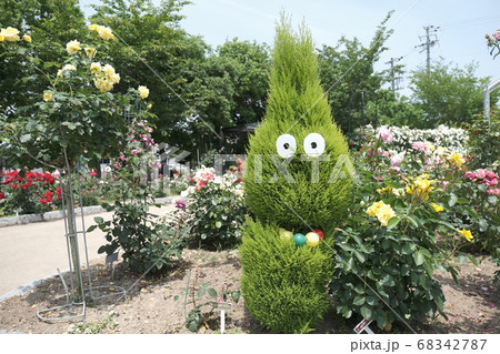 あやべグンゼスクエアのバラ園 68342787