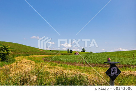 北海道美瑛町　赤い屋根のある丘　7月 68343686