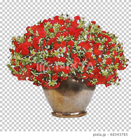 Safinia red petunia illustration 68343785
