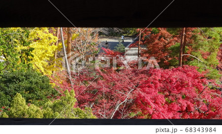 紅葉の名所で紅葉狩りを楽しむ人達 68343984