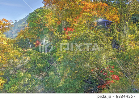 公園の東屋と紅葉の風景 奥須磨公園のイラスト素材