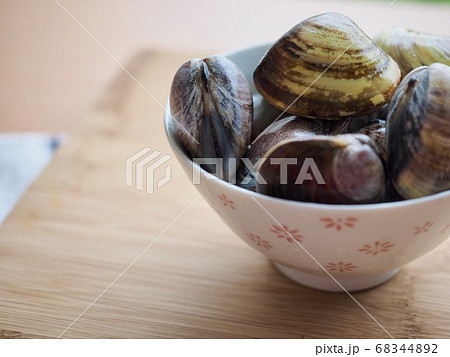貝 貝類 生 68344892