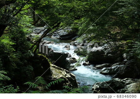 美しい森の中を流れる川 美しい森の中を流れる川 68346090