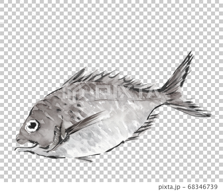 Taitai Tai one monotone [ink painting style] 68346739