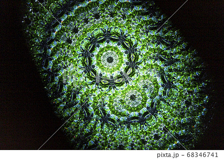 万華鏡 覗いたままの模様 万華鏡 覗いたままの模様 68346741