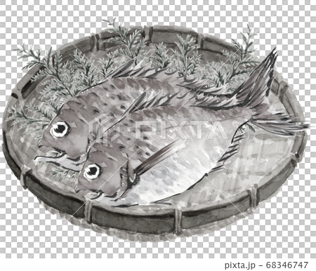 鯛 たい 2尾 ひば ざる モノトーン 白背景 水墨画風 のイラスト素材