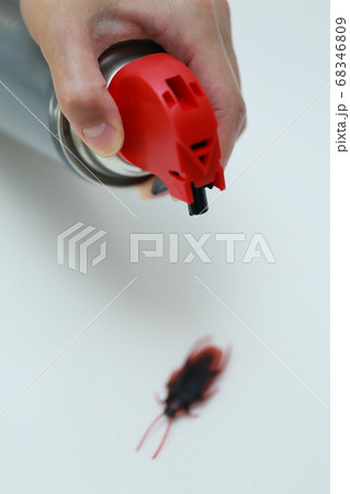 キッチンに現れたゴキブリを殺虫剤で撃退する主婦 キッチンに現れたゴキブリを殺虫剤で撃退する主婦 68346809