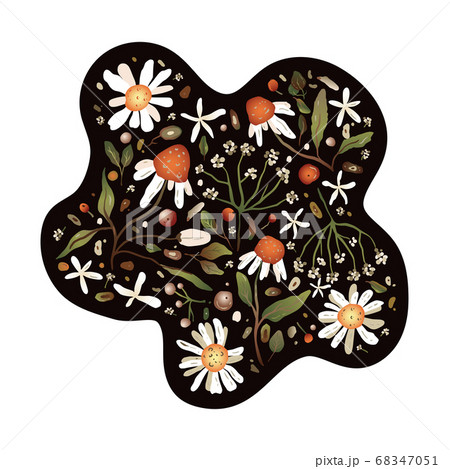 Chamomile flowers card. Chamomile flowers card. 68347051