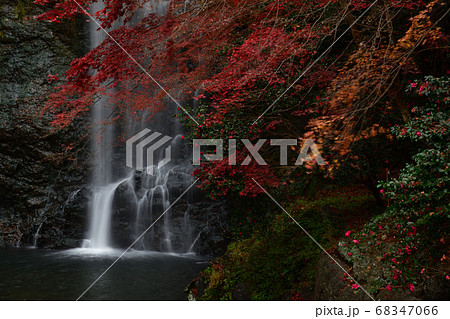 箕面の滝の紅葉 箕面の滝の紅葉 68347066