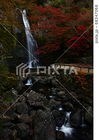 箕面の滝の紅葉 箕面の滝の紅葉 68347068
