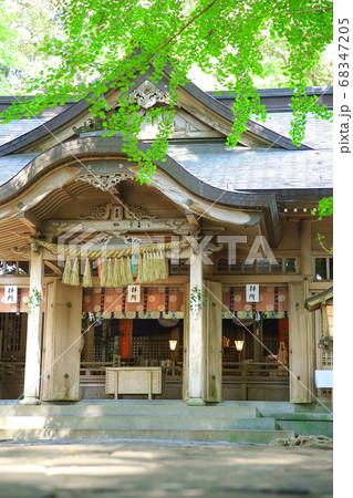 高千穂神社 68347205
