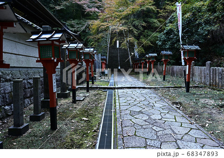 狸谷山不動院の紅葉 68347893