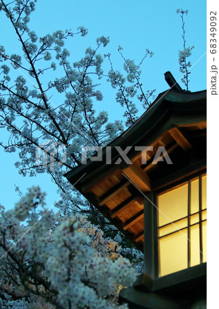 桜と灯り 68349092