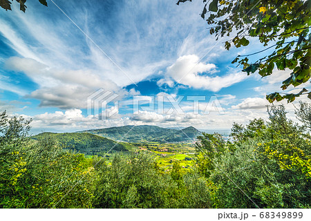 green valley in Tuscany 68349899