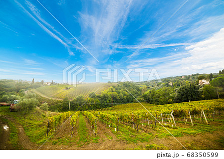 Vineyard in Montalcino 68350599