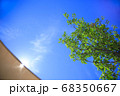 夏空 68350667