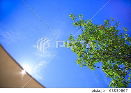 夏空 夏空 68350667