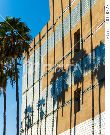 palm shadows on a building in Los Angeles palm shadows on a building in Los Angeles 68350827