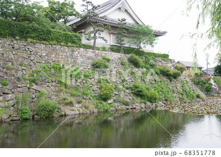 岸和田城のお堀端の景色 岸和田城のお堀端の景色 68351778