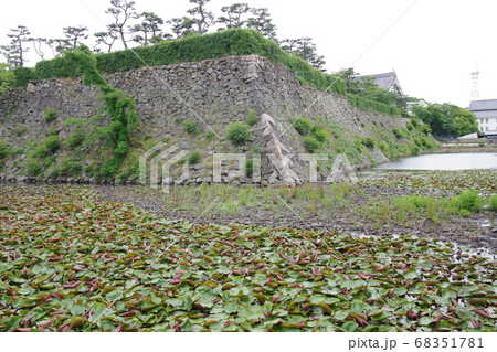 岸和田城の堀と石垣の景色 68351781