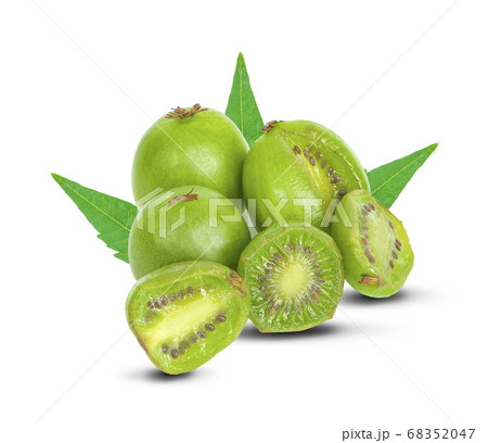 mini kiwis baby fruit an isolated on white 68352047