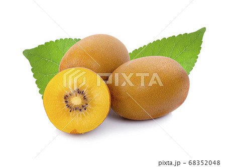 kiwi gold isolated on the white background kiwi gold isolated on the white background 68352048