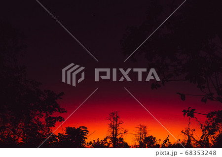 Colorful bright sunset or sunrise with branches of trees in tropics Colorful bright sunset or sunrise with branches of trees in tropics 68353248