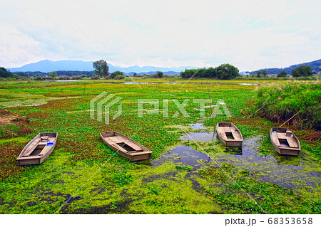 夏 風景 景色 68353658