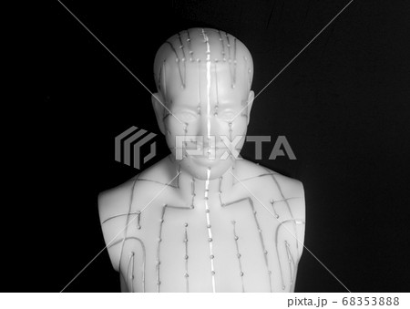 Medical acupuncture model of human torso Medical acupuncture model of human torso 68353888