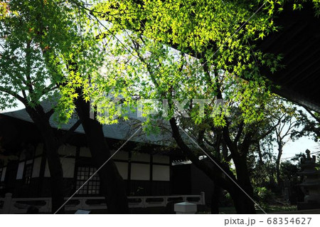 九品仏浄真寺　三仏堂 68354627