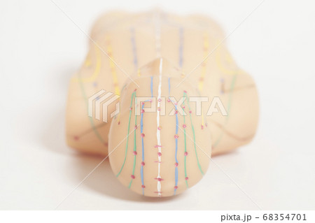 Medical acupuncture model of human Medical acupuncture model of human 68354701