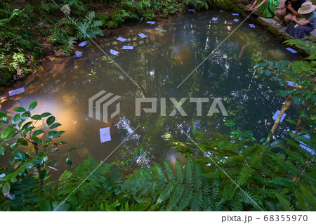 縁結びの神様 松江市八重垣神社 鏡の池で恋占い 68355970