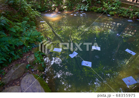 縁結びの神様 松江市八重垣神社 鏡の池で恋占い 縁結びの神様 松江市八重垣神社 鏡の池で恋占い 68355975