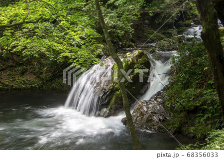 癒される風景の写真素材