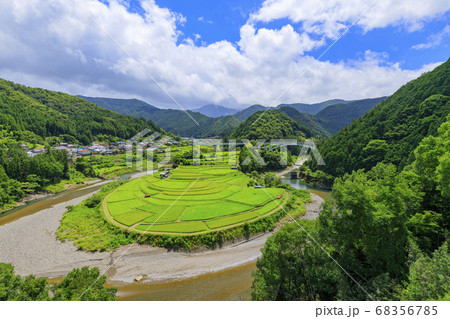 あらぎ島　夏 68356785