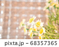 キラキラ背景　フェイクグリーン2 68357365