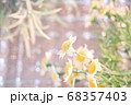 キラキラ背景　造花mix 68357403