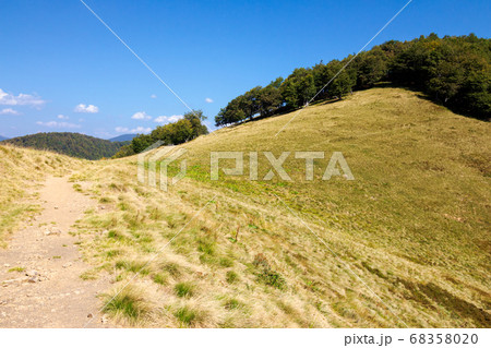 grassy meadow in mountains. beautiful landscape of grassy meadow in mountains. beautiful landscape of 68358020