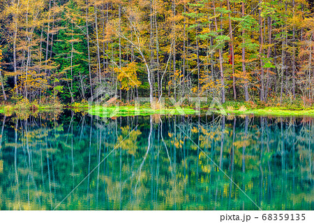 初秋を迎えた御射鹿池の水鏡 初秋を迎えた御射鹿池の水鏡 68359135