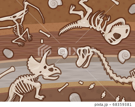 恐竜の化石が埋まった地層のイラストのイラスト素材