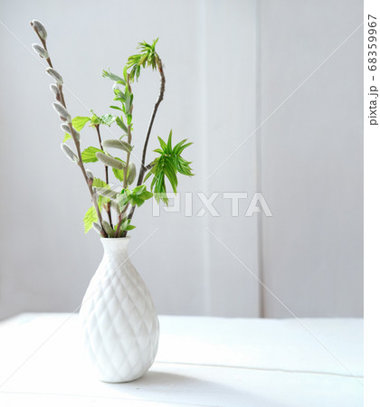 green leaves in a black vase 68359967