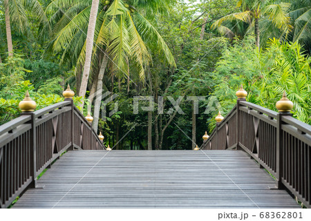 Wooden bridge and tropical vegetation in Sri Nakhon Khuean Khan Park and Botanical Garden in Bang Krachao (Kachao). 68362801