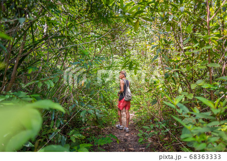 Young man walks along the path through bush and tree thickets in Krabi, Thailand Young man walks along the path through bush and tree thickets in Krabi, Thailand 68363333