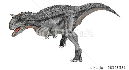 カルノタウルス 肉食の雄牛 白亜紀後期 南米大陸に生息していた大型獣脚類 大型だが比較的軽量 のイラスト素材
