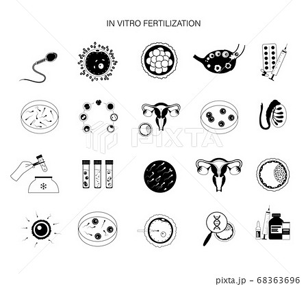 Reproductive system concept Reproductive system concept 68363696