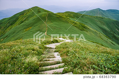 谷川連峰の山々と稜線 谷川連峰の山々と稜線 68363790